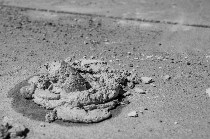 Professional Assessment